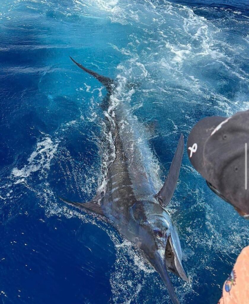 Group Sports Fishing